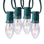 C9 Clear Outdoor Christmas String Lights, 25 Feet