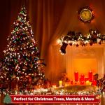 66ft 200 LED Multicolor String Lights for Christmas