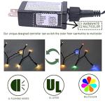 Warm White & Multicolor LED Christmas Tree Lights