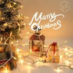 Hopolon 50-Count Clear Christmas Mini String Lights