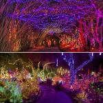 Smart Color Changing LED String Lights for Christmas