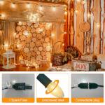 Goothy 25Ft C9 Clear Christmas String Lights