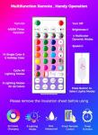 Color Changing String Lights with Remote - 100 LEDs