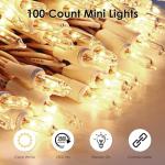 100 Count Clear Mini Lights - 2 Pack