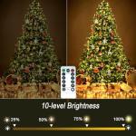 Battery Remote Control 100 LED Christmas Lights