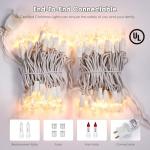 100 Count Clear Mini Lights - 2 Pack