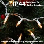 100 Count Clear Mini Lights - 2 Pack