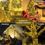 Battery Remote Control 100 LED Christmas Lights
