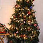 100 Count Clear Mini Lights - 2 Pack