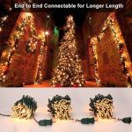 300 Count Clear Warm White Christmas Lights串