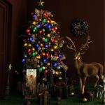 Anycosy 29.5 FT Battery Operated C7 Christmas Lights