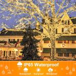 100FT 300 LED Warm White Christmas Lights