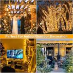 100FT 300 LED Warm White Christmas Lights