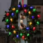 Anycosy 29.5 FT Battery Operated C7 Christmas Lights