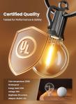 25-Foot Outdoor LED String Lights with Edison Bulbs