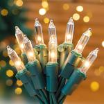 Hopolon 50 Count Warm White Mini String Lights