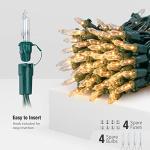 Hopolon 50 Count Warm White Mini String Lights