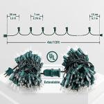 Hopolon 50 Count Warm White Mini String Lights