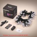 Smart C9 Outdoor Christmas Lights with App Control