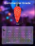 Brightown 50-LED Solar String Lights - Multicolor
