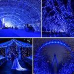 1000 LED Outdoor Christmas Lights - Waterproof, 8 Modes