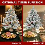 2FT Pre-lit Mini Snow Flocked Christmas Tree