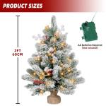 2FT Pre-lit Mini Snow Flocked Christmas Tree