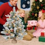 2FT Pre-lit Mini Snow Flocked Christmas Tree