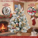 2FT Pre-lit Mini Snow Flocked Christmas Tree