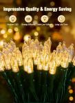 Battery Powered 8ft 20 LED Christmas Lights