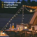 33 ft Globe String Lights with Remote, Warm White