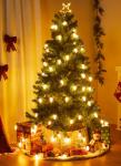 Brightown 100 Ft C9 LED Outdoor Christmas Lights