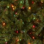 6.5ft Pre-Lit Dunhill Fir Christmas Tree with Stand