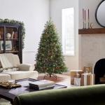 6.5ft Pre-Lit Dunhill Fir Christmas Tree with Stand