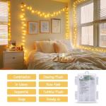 2 Pack Remote Battery String Lights, 66ft 200 LED