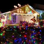 Battery Operated 100 LED String Lights - 2 Pack