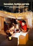Battery Powered 8ft 20 LED Christmas Lights