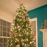 Clear 150-Count Outdoor Christmas String Lights