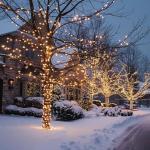 Color Changing 200 LED Christmas String Lights, 66 FT