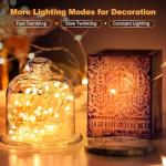20 Pack Battery Operated LED Fairy Lights