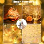 78FT LED Fairy Lights with Timer & Remote