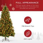 6ft Pre-Lit Spruce Artificial Christmas Tree