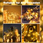 78FT LED Fairy Lights with Timer & Remote