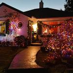 Battery Operated 100 LED String Lights - 2 Pack