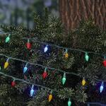 Multicolor LED Christmas Fairy Lights