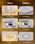 Battery Operated 60 LED Fairy String Lights
