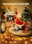 Battery Powered 8ft 20 LED Christmas Lights