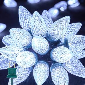 Brightown 33ft C9 LED Waterproof Christmas Lights