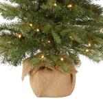 Pre-Lit Mini Christmas Tree with White Lights