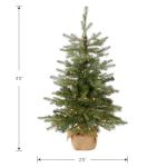 Pre-Lit Mini Christmas Tree with White Lights
